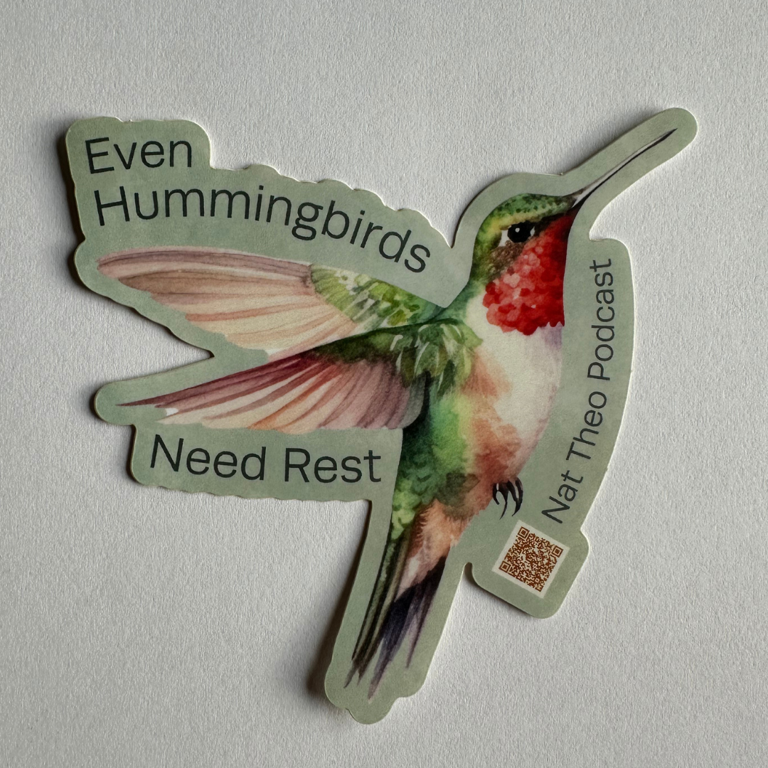 Hummingbird Sticker