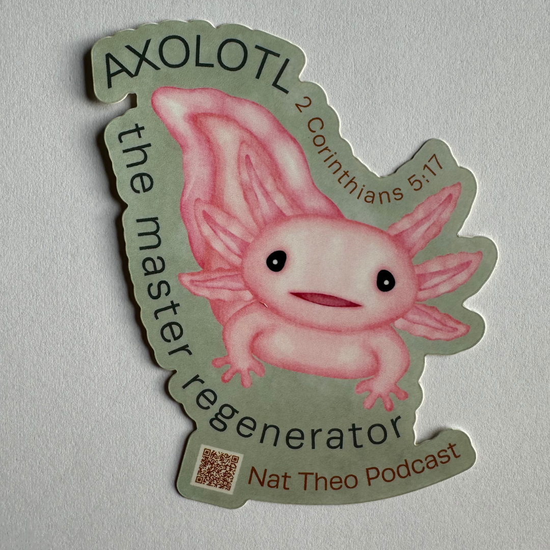 Axolotl Sticker