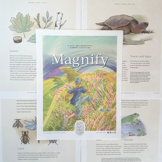 Magnify: A Wild and Wonderful Summer Adventure