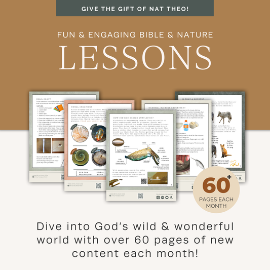 6-Month Gifted Membership to the Nat Theo Club