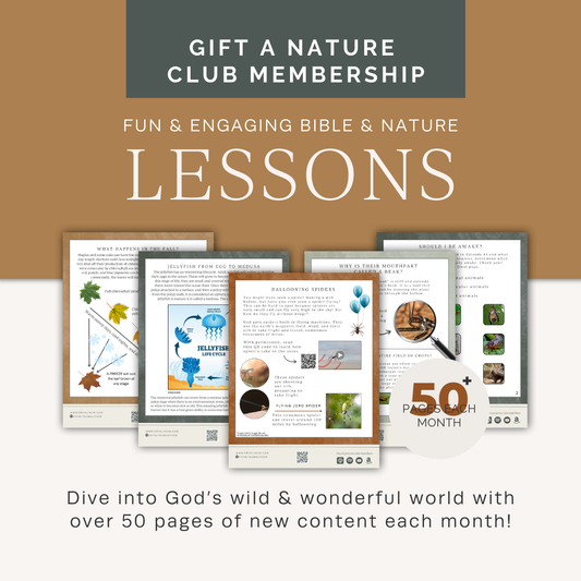 6-Month Gifted Membership to the Nat Theo Club