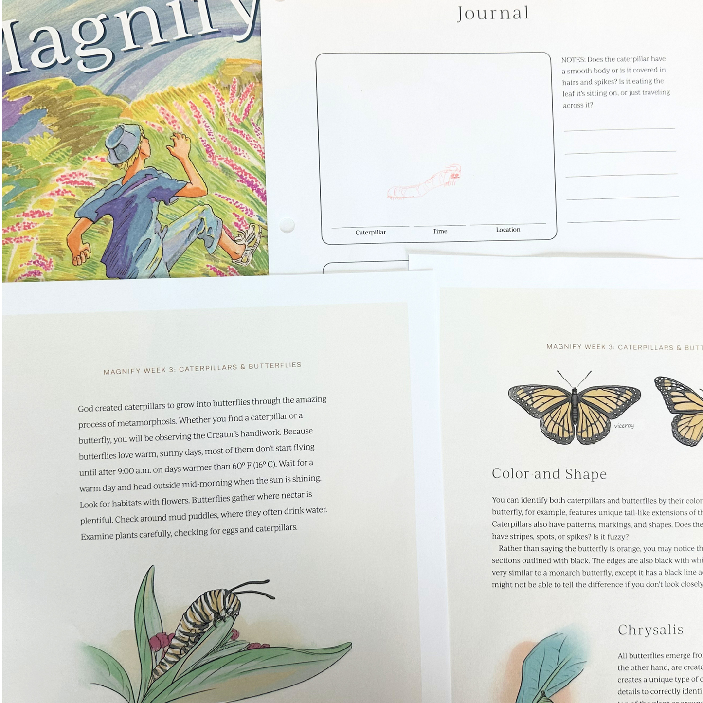Magnify: A Wild and Wonderful Summer Adventure