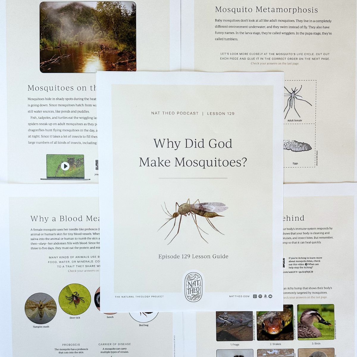 Insect 1: Dung Beetle, Inchworm, Mosquito, Housefly