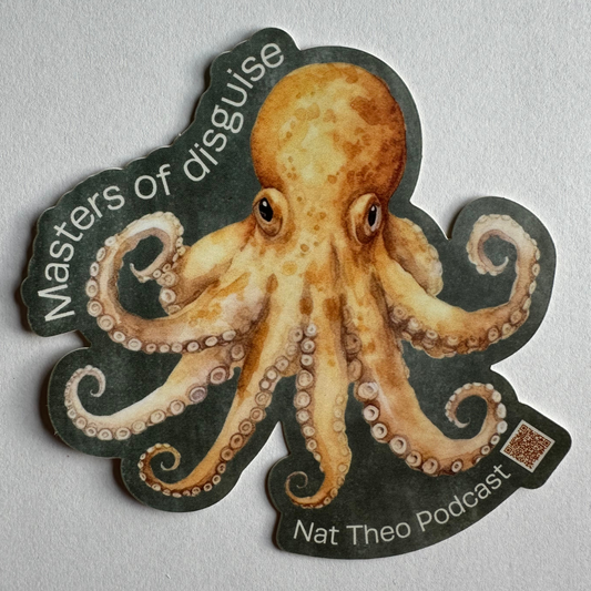 Octopus Sticker