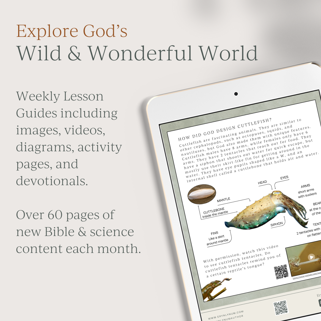 1-Year Gifted Membership to the Nat Theo Club