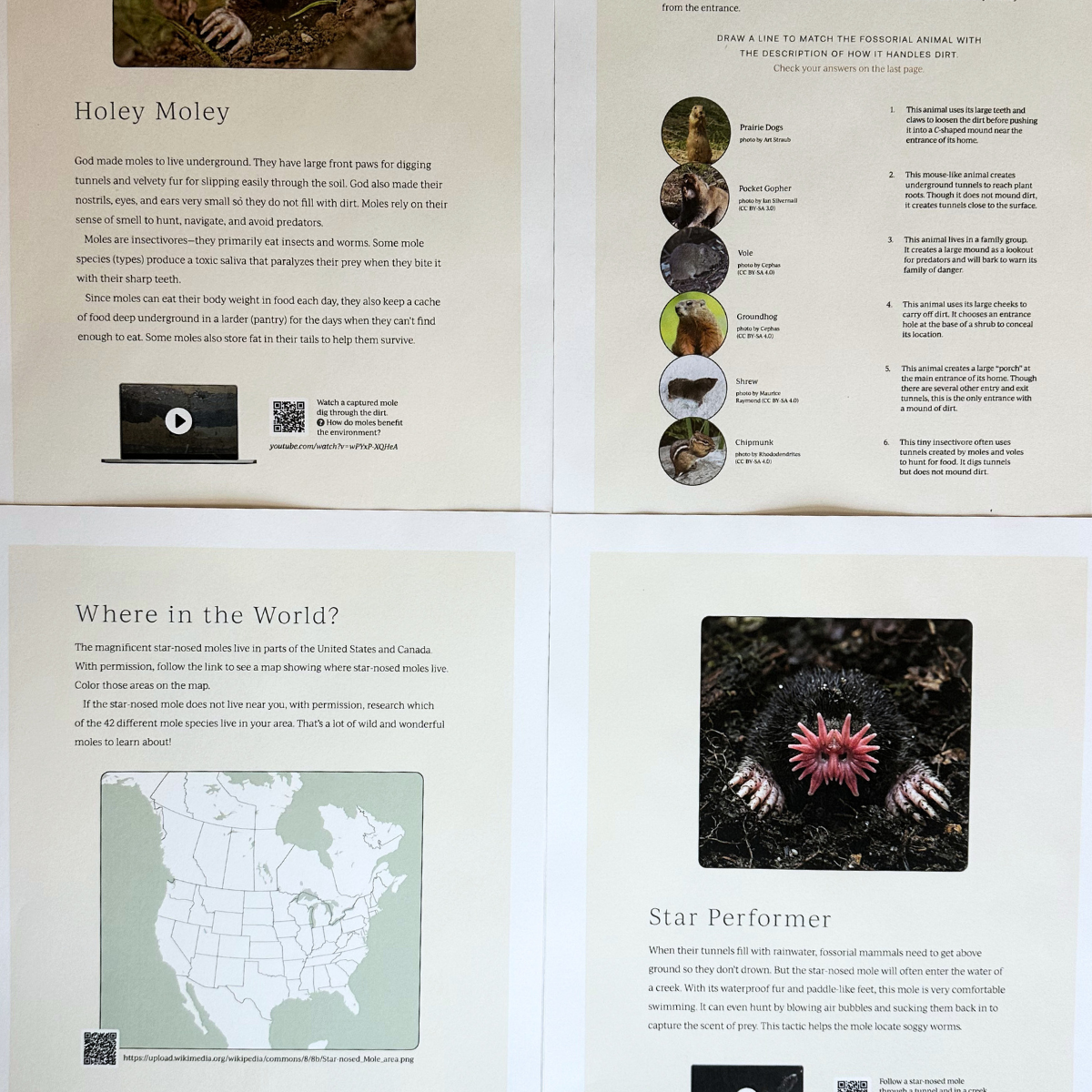 Mammal 1: Moose, Porcupine, Rabbit, Star-nosed Mole