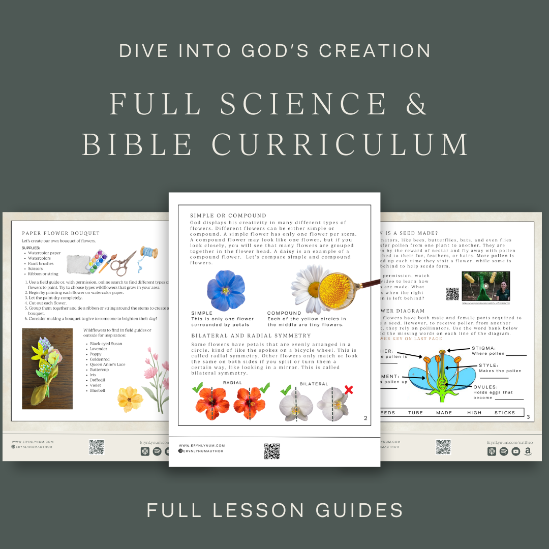 6-Month Gifted Membership to the Nat Theo Club