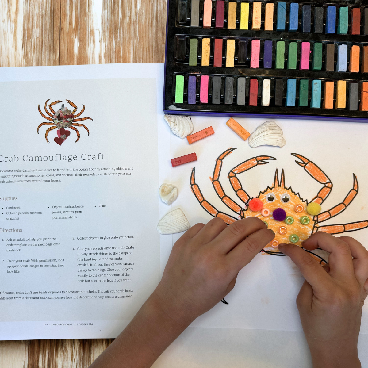 Ocean 1: Decorator Crab, Sawfish, Seahorse, Sea Star