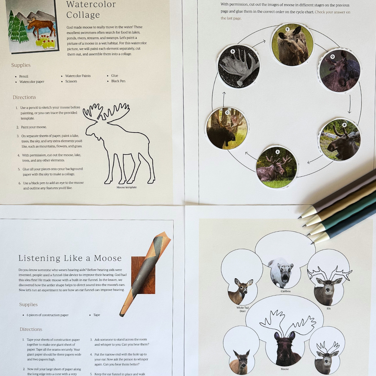 Mammal 1: Moose, Porcupine, Rabbit, Star-nosed Mole