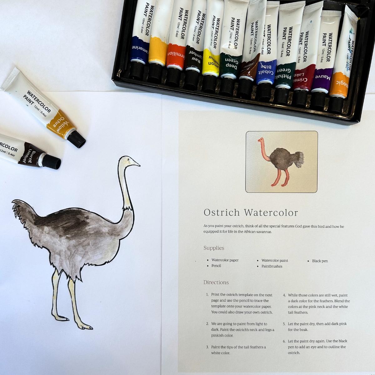 Birds 1: Woodpecker, Ostrich, Shoebill, Peregrine Falcon