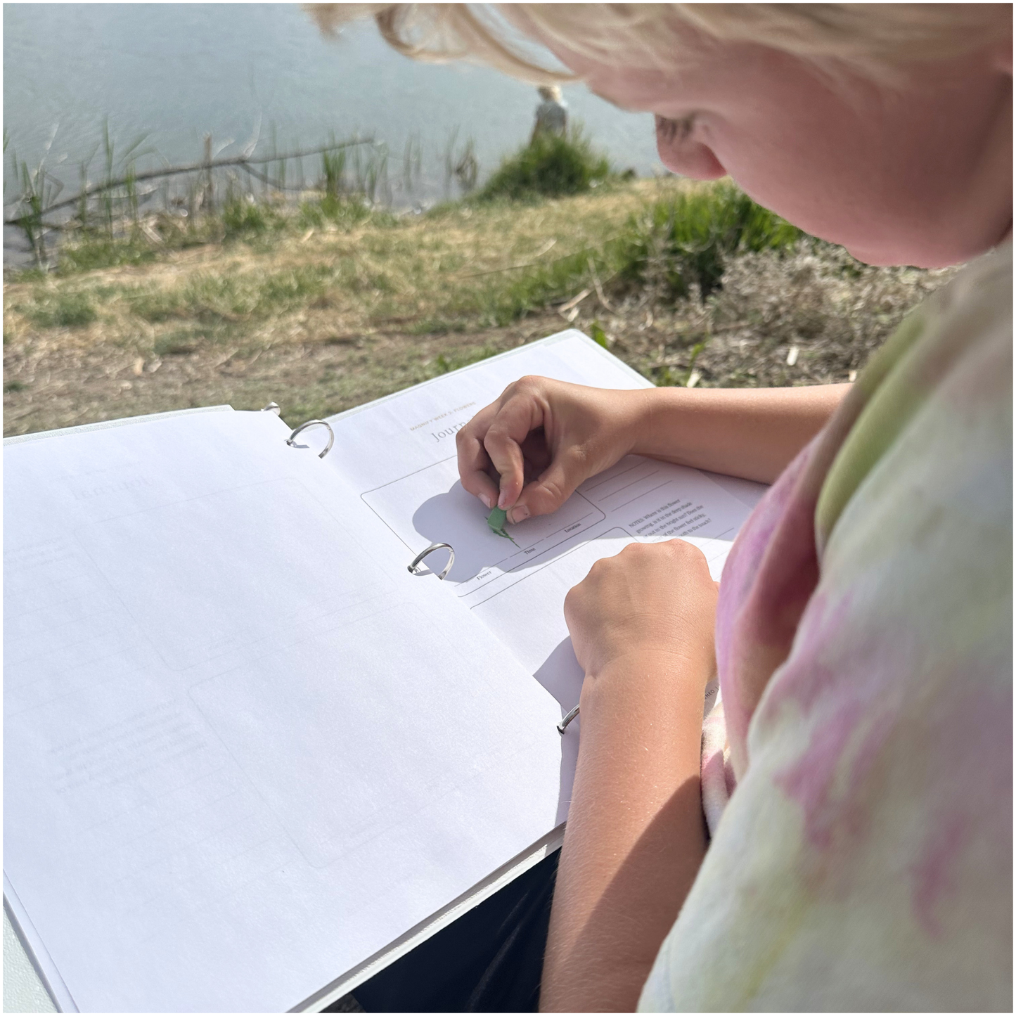 Magnify: A Wild and Wonderful Summer Adventure