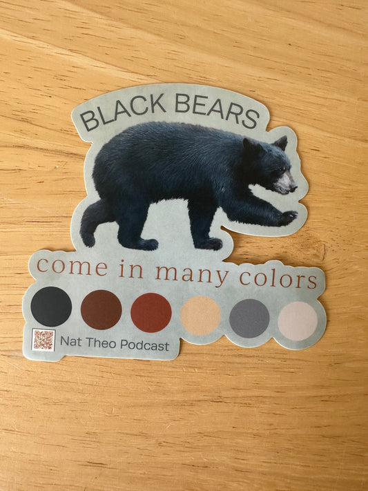 Black Bear Sticker