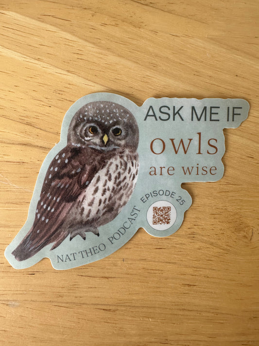 Owl Sticker