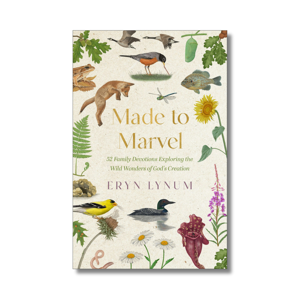 Signed Copy - Made to Marvel: 52 Family Devotions Exploring the Wild Wonders of God's Creation - PRE-ORDER
